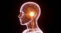 Digital human head outline with glowing neural network connections brain technology Royalty Free Stock Photo