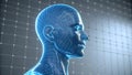 Digital human head wireframe model technology ai Royalty Free Stock Photo