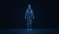 Digital human wireframe scanning and connecting data Royalty Free Stock Photo