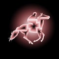 digital illustration with abstract design of the silhouette of a horse with pink gradient color