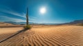 Sun-kissed Desert Trek./n Royalty Free Stock Photo