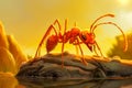 Cartoon Red Ant Working. Generated Image. Royalty Free Stock Photo