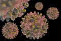 Digital illustration cell Hepatitis B Virus.
