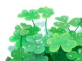 Digital illustration of the clover foliage with morning dew