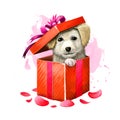 Digital illustration of cute puppy in gift box. Beautiful present in red wrapping paper and purple ribbon with bow, rose petals.