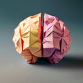 The human brain origamy paper