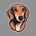 Digital Illustration Of A Dachshund Dog Portrait Royalty Free Stock Photo