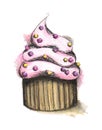 Isolated watercolor chocolate pink sprinkled with cream cupcake