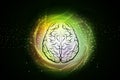 Digital illustration of Human brain structure in color background Royalty Free Stock Photo