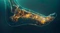 A digital illustration of a human foot with bones Royalty Free Stock Photo