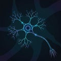 Body with a prominent nucleus branching dendrites and a long Royalty Free Stock Photo
