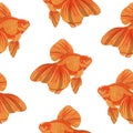 Digital illustration of orange detailed aquarium goldfish seamless pattern on white isolated background Royalty Free Stock Photo