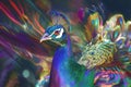 A surreal digital illustration of a peacock with holographic feathers.