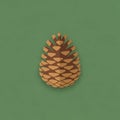 A digital illustration of a pine cone on a plain green background Royalty Free Stock Photo