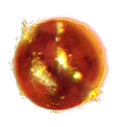 Digital illustration planets. Sun planet on white background Royalty Free Stock Photo