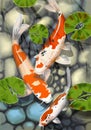 Digital illustration of a pond with three white and red koi fish with a rocky bottom Royalty Free Stock Photo