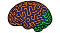 Abstract human brain illustration with colorful maze pattern in blue orange and green lines Royalty Free Stock Photo