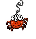 Funny Four Eyed Red Spider