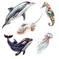 Digital illustration set imitating colored pencils realistic drawing. Sea and ocean creatures: dolphin, killer whale, jellyfish, Royalty Free Stock Photo