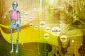 Digital illustration of a Skelton Royalty Free Stock Photo