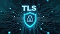 Digital illustration of TLS protocol security shield with padlock icon on circuit board background. Secure online data Royalty Free Stock Photo