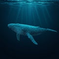 A digital illustration of a whale created using a wireframe design. The whale is Royalty Free Stock Photo