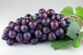 Digital image of black grape, white background, high quality, high resolution Royalty Free Stock Photo