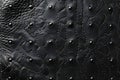 Digital image of black leather texture background for text or other graphics Royalty Free Stock Photo