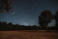 Digital image of  comet in the night sky over an open field with trees. the field is surrounded Royalty Free Stock Photo