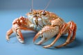 Digital image of crab in a blue table. fresh seafood seafood, high quality, high resolution Royalty Free Stock Photo