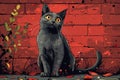 Digital image of  gray cat sitting and looking up at the camera Royalty Free Stock Photo