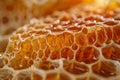 Digital image of honeycomb pattern, honey on the surface of beehive with a closeup shot. background image texture for product pac Royalty Free Stock Photo