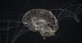 Digital image of human brain and dna structure spinning against network of connections Royalty Free Stock Photo