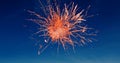 Digital image of red fireworks exploding in the blue sky