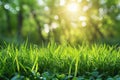Digital image of spring background with blurred green grass and sun rays, copy space Royalty Free Stock Photo