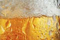 Digital image of up close shot of a beer being served, high quality, high resolution