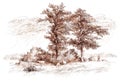 Digital ink illustration with a brown sepia landscape, with some goats and a sheperd near some oak trees Royalty Free Stock Photo