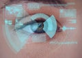 Digital interface with data processing against close up of female human eye Royalty Free Stock Photo