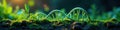Digital interface displaying plant growth simulation alongside DNA sequence , DNA, Digital, screen
