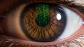 Digital iris reflection Royalty Free Stock Photo