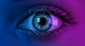 Close-up of iris scan for advanced data security and personal identification Royalty Free Stock Photo