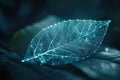 Digital Leaf with Glowing Network Lines on Dark Natural Background. Royalty Free Stock Photo