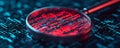 Digital Magnifying Glass Over Data Matrix