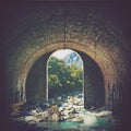 Digital manipulation of an historic arched brick tunnel as gateway to wilderness Royalty Free Stock Photo