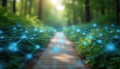 Digital network connection over blurred forest path with green vegetation. Network structure, nodes in cyberspace. Modern tech Royalty Free Stock Photo