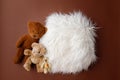 Digital newborn background for baby girls and boys. Brown colors, fur and teddy bears Royalty Free Stock Photo