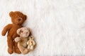 Digital newborn background for baby girls and boys. Light colors and three little bears Royalty Free Stock Photo