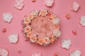 Digital newborn background. Newborn floral backdrop with pink flowers Royalty Free Stock Photo