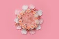 Digital newborn background. Newborn floral backdrop with pink flowers Royalty Free Stock Photo