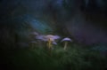 Digital oil painting of fantasy glowing mushrooms in an enchanted forest